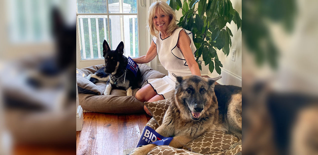 Jill Biden with their dogs, Champ and Major, Credit: Twitter/ @DrBiden