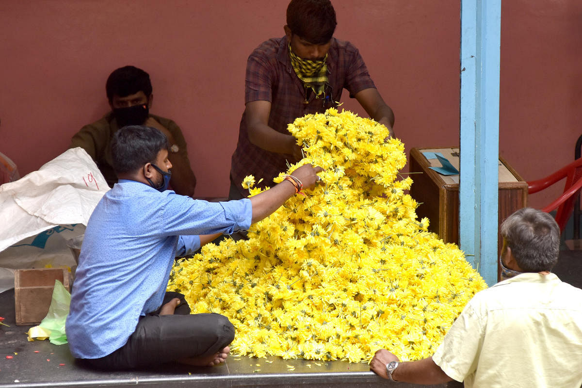 Prices of Chrysanthemum which were heavy during Dasara have now dipped sharply’ in Mysuru. DH FILE PHOTO