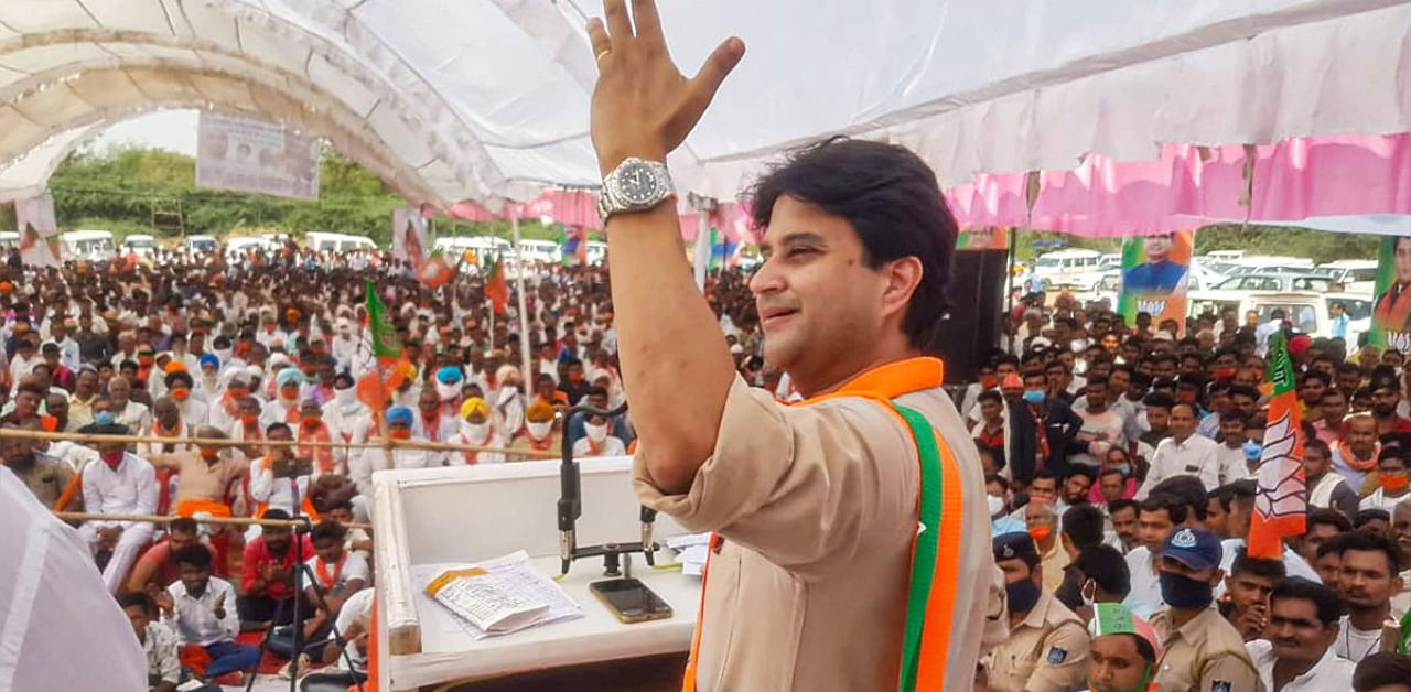 Jyotiraditya Scindia has walked the talk and helped BJP to secure a massive victory. Credit: PTI
