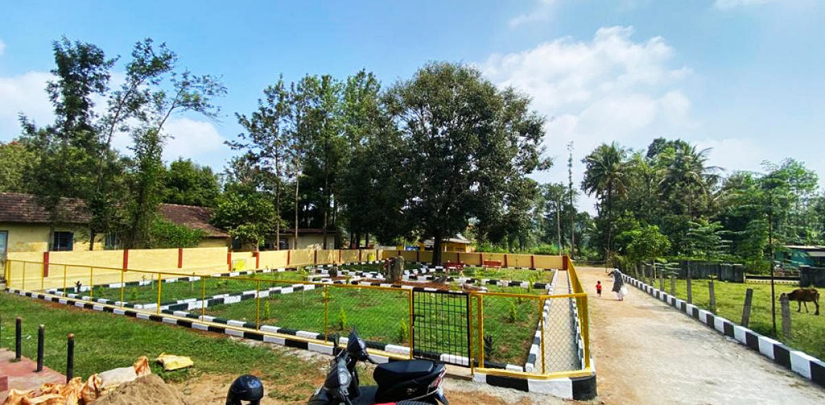With the efforts of PDO Lokesh, a park at an estimated cost of Rs 3 lakh has been developed in front of Haradoor Gram Panchayat.