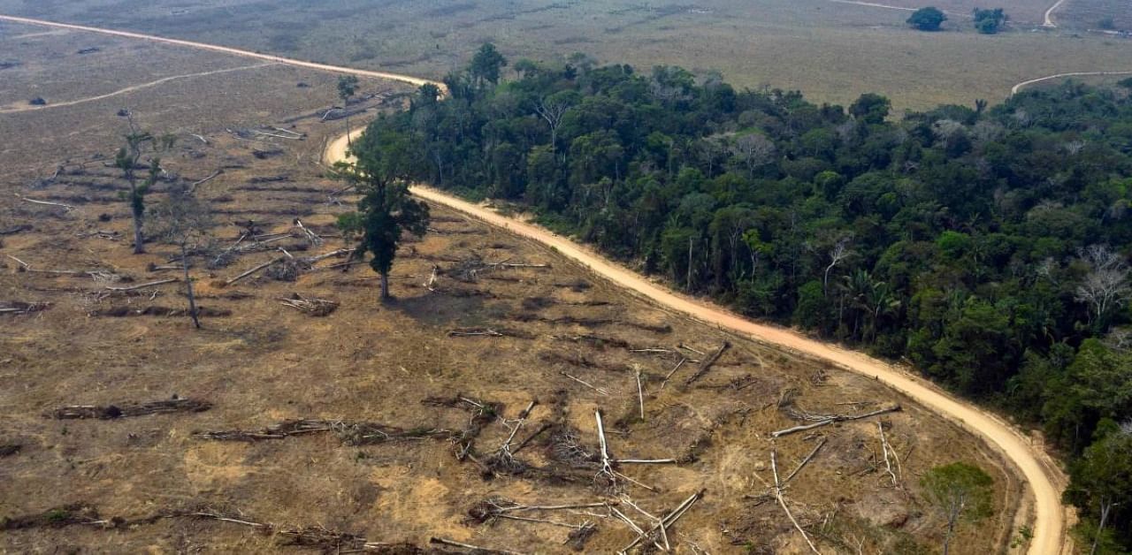 An aerial view of burnt areas of the Amazon rainforest. Credit: AFP