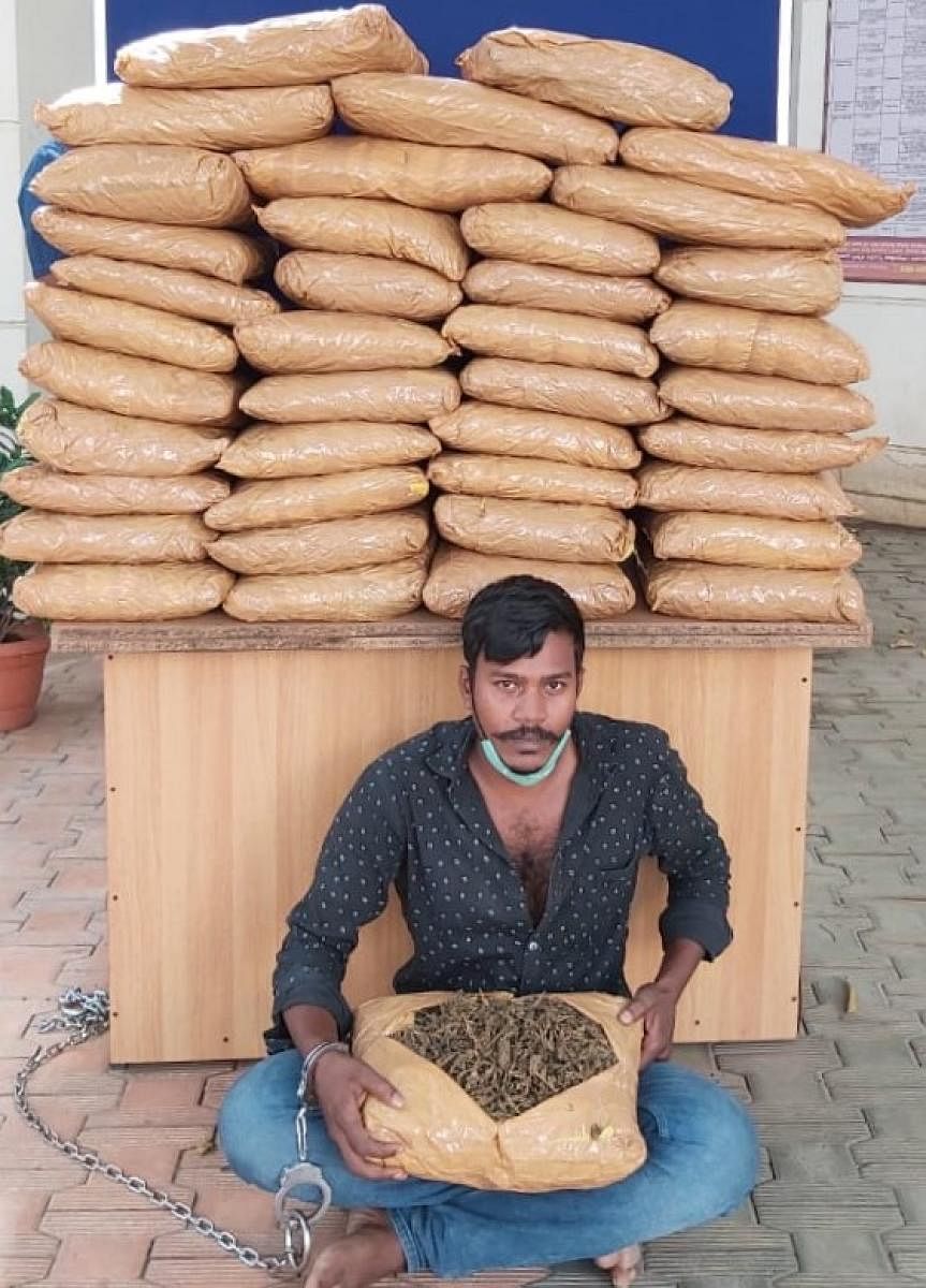 Accused Shivakumar with the seized drugs.