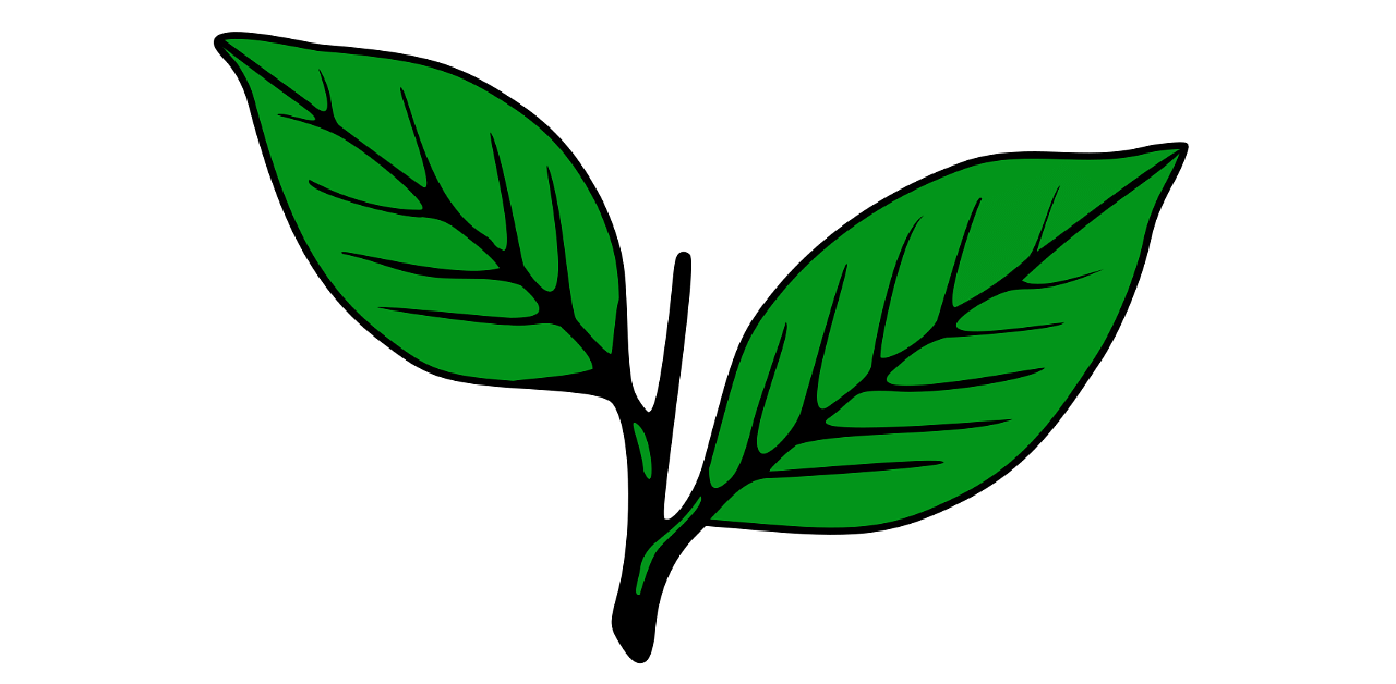 Kerala Congress (M) symbol. Credit: Wikipedia.