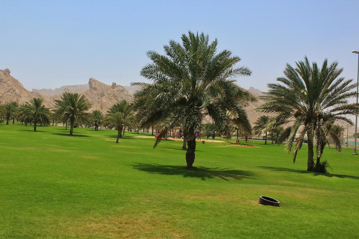 Gardens of Al Ain. PHOTOS BY AUTHOR