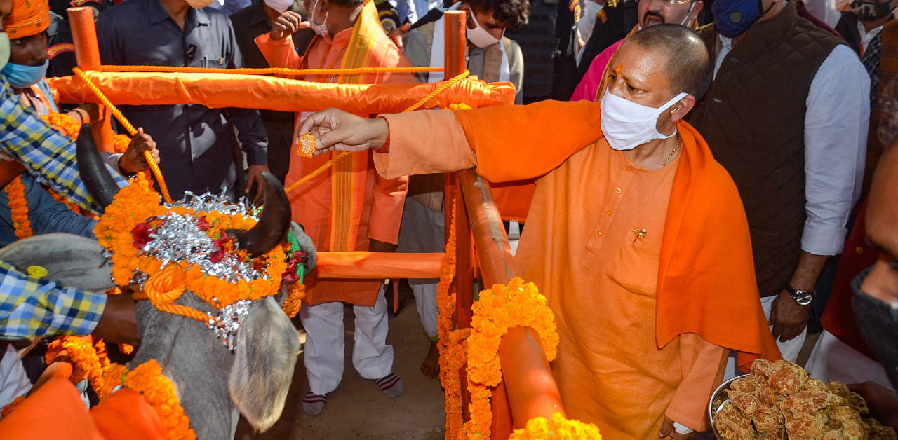 Uttar Pradesh Chief Minister Yogi Adityanath and Union Minister for Jal Shakti, Gajendra Singh Shekhawat (R) worship a cow on the occasion of 'Gopashtami' festival at Tanda fall Cowshed in Mirzapur. Credit: PTI Photo