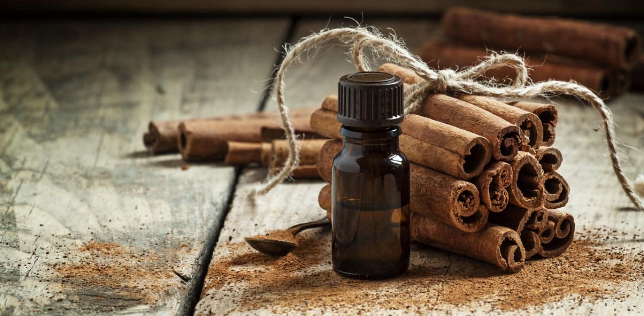 The red-listed medicinal plants include sandalwood, wild clove, wild jamun, wild cinnamon and other species endemic to the Western Ghats. Representative image. Credit: Getty.