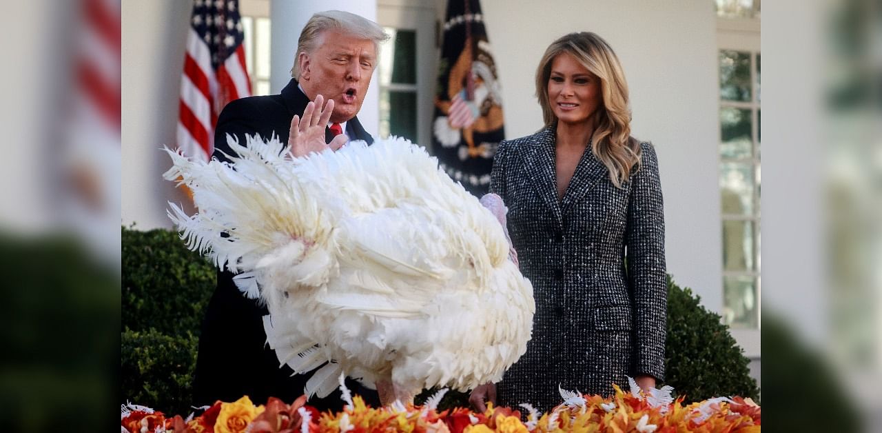 US President Donald Trump stands with first lady Melania Trump as he pardons the National Thanksgiving Turkey "Corn" during the 73rd annual presentation in the Rose Garden at the White House. Credit: Reuters Photo