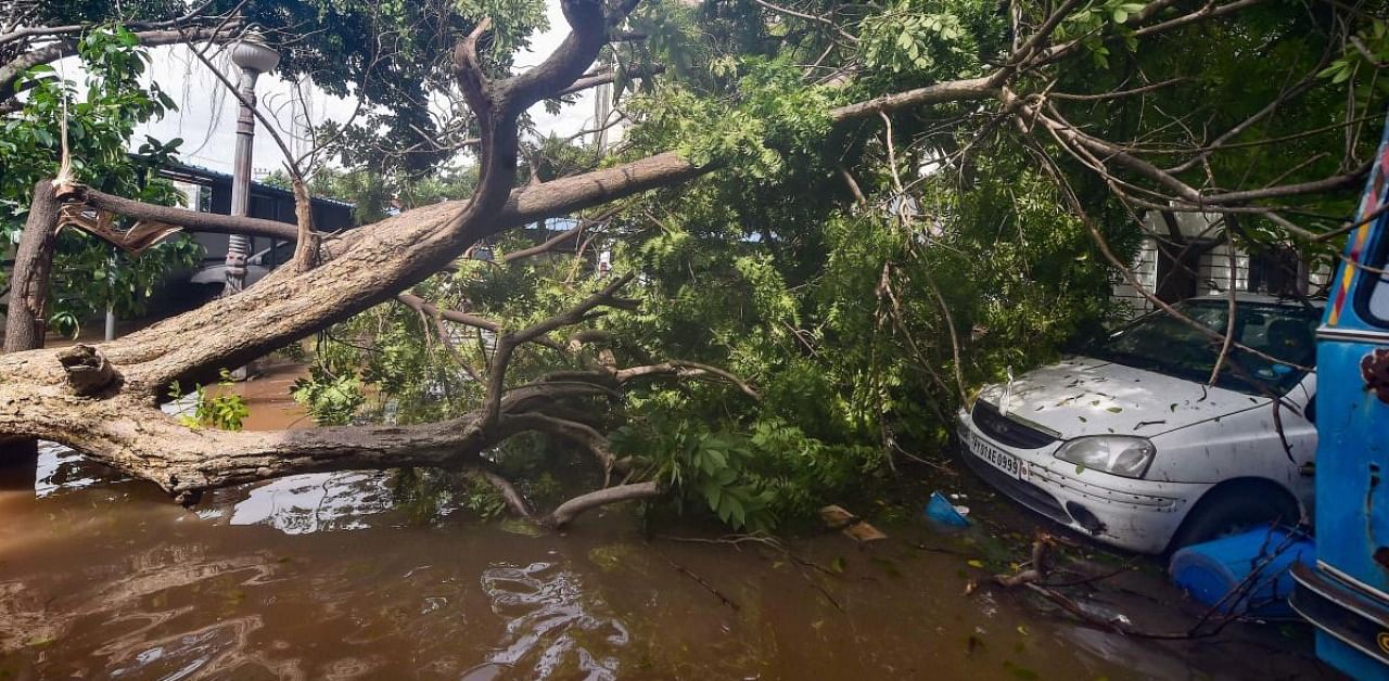 A car lies buried under an uprooted tree after heavy rain following the landfall of Cyclone Nivar, in Puducherry. Credit: PTI.