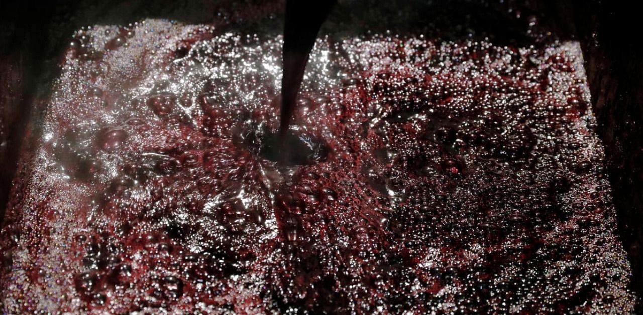 Elderberry syrup is seen in a fruit processing plant in Sarszentagota, Hungary. Credit: Reuters.