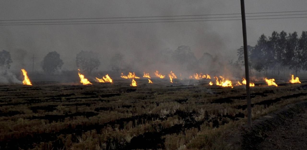 Stubble burning. Credit: PTI Photo