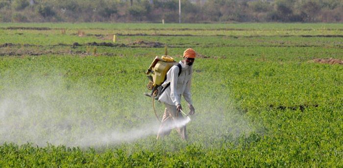 Representative image. Credit: PTI Photo