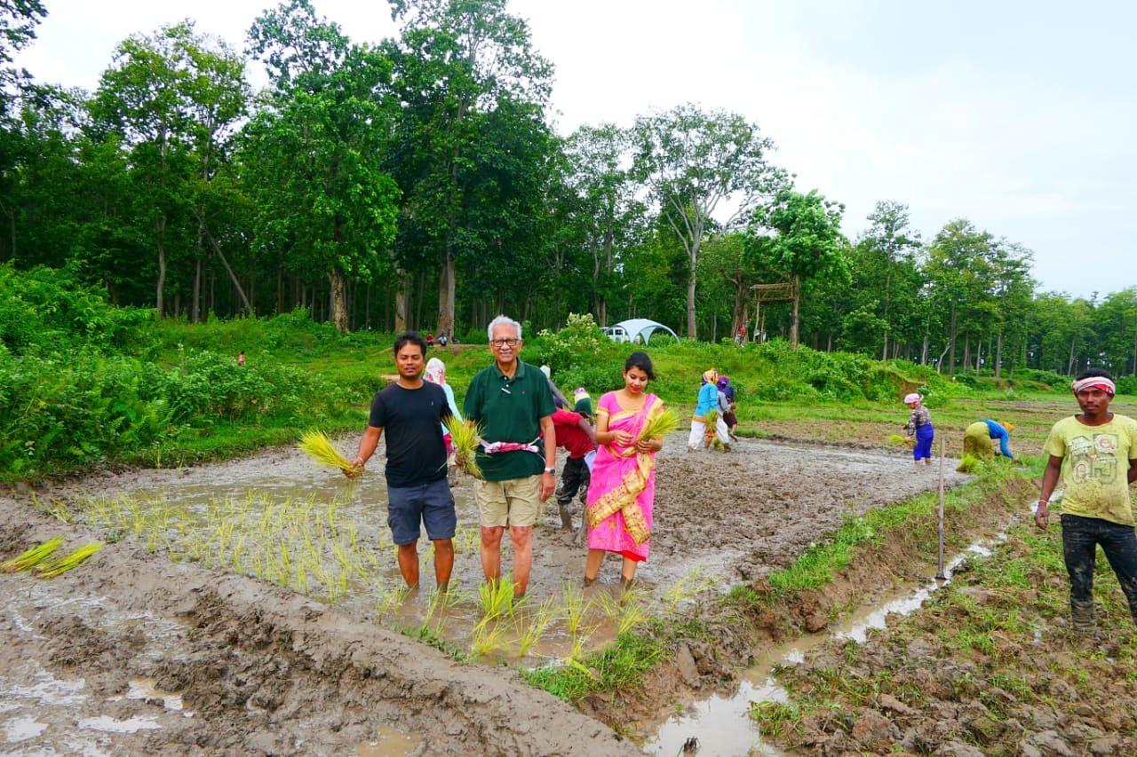 Dulu Bora, his wife Meghna Mayur Hazarika and Pradip Bhuyan sowing paddy at Chapanala in Nagaon district. Credit: DH 