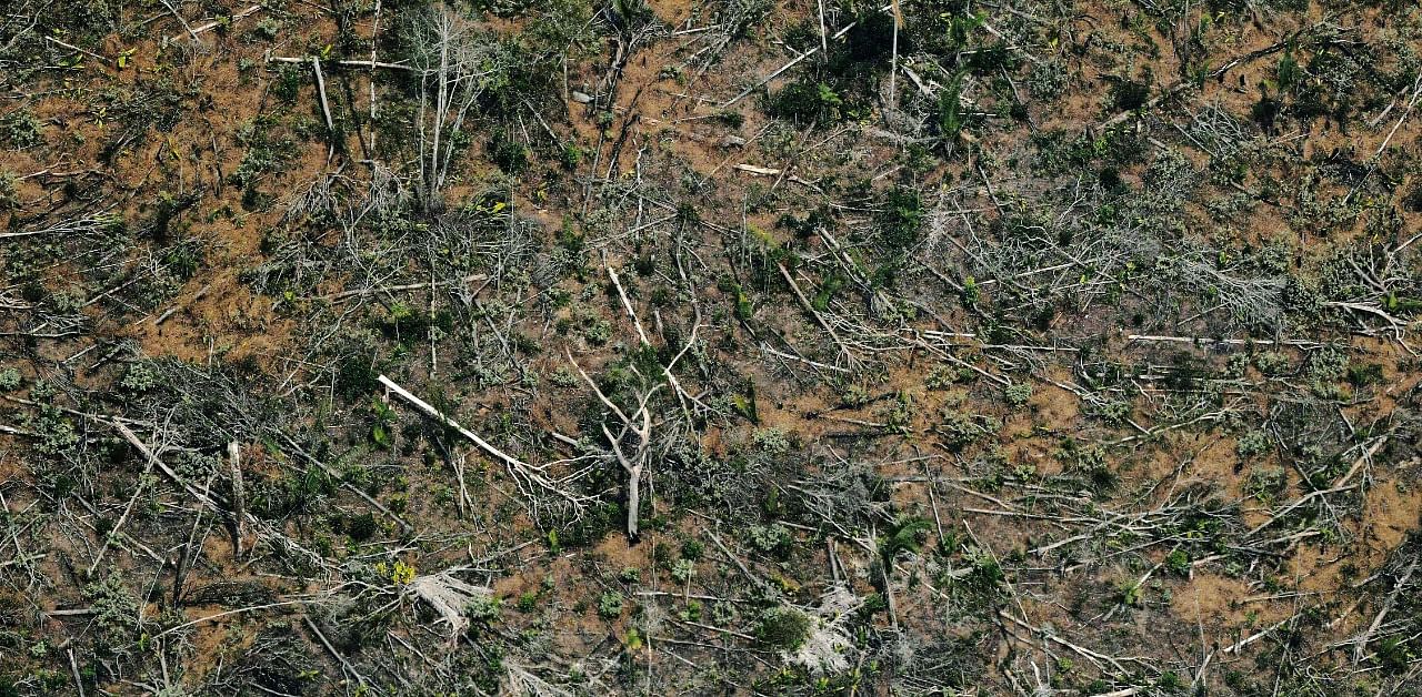 This file photo taken on August 23, 2019 shows an aerial view of a deforested piece of land in the Amazon rainforest near an area affected by fires. Credit: AFP Photo