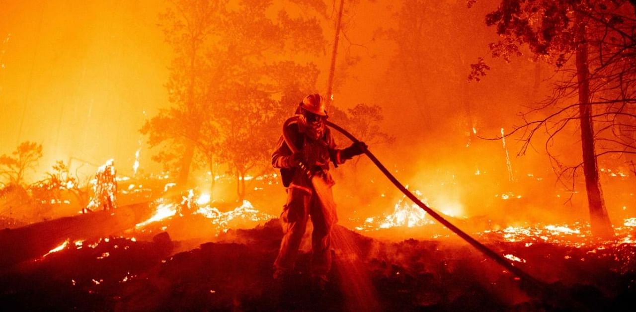 A firefighter douses flames as they push towards homes during the Creek fire in the Cascadel Woods area of unincorporated Madera County, California. Credit: AFP file photo.
