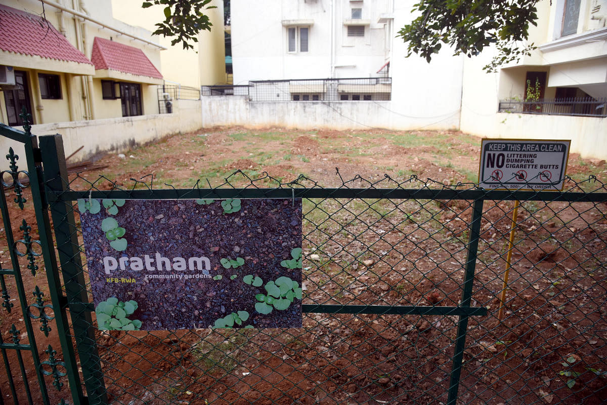 The community garden in Koramangala 1st Block in Bengaluru on Monday. DH Photo/S K Dinesh
