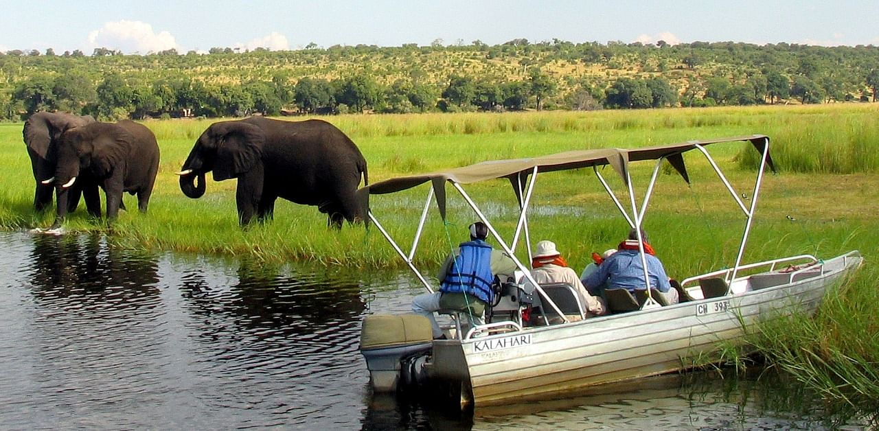 Foreign tourists in safari riverboats observe elephants along the Chobe river bank near Botswana's northern border where Zimbabwe, Zambia and Namibia meet. Credit: Reuters Photo