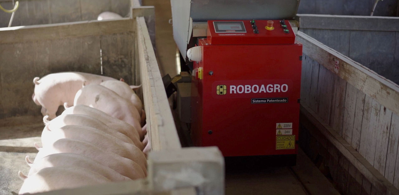 A Roboagro robot feeds pigs while playing classical music on a farm in Brazil. Credit: Reuters Photo