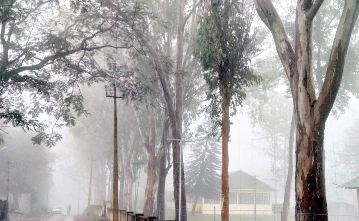 A view of Biligiri Rangana Betta (B R Hills), in Chamarajanagar district, that was engulfed in mist for the whole day, on Thursday. DH PHOTO