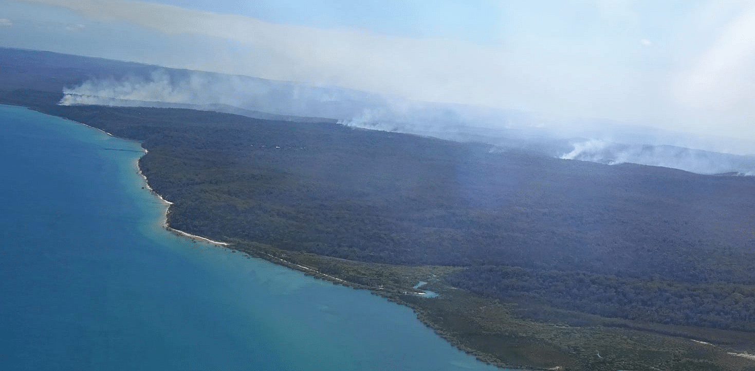 Aerial view of an area affected by a bushfire on Fraser Island (K'gari), Queensland, Australia. Credit: Reuters