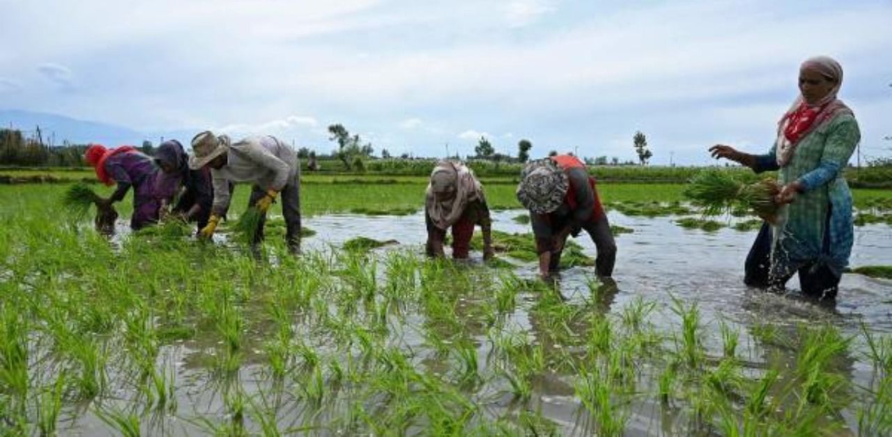 Karnataka Rajya Raitha Sangha president Kodihalli Chandrashekhar said that the farmers would lay siege to Vidhana Soudha on December 9 to protest the farm laws and ordinances issued by state governments. Credit: AFP Photo