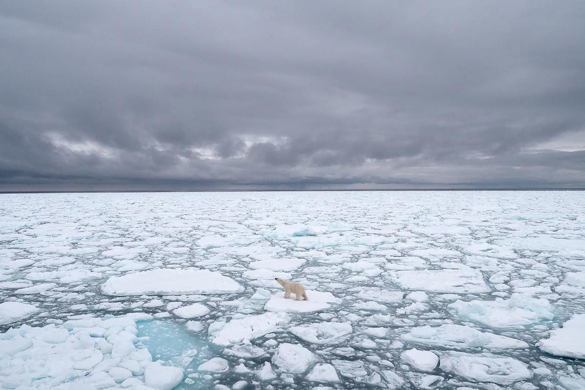 A general view of Arctic. Credit: AFP file photo. 