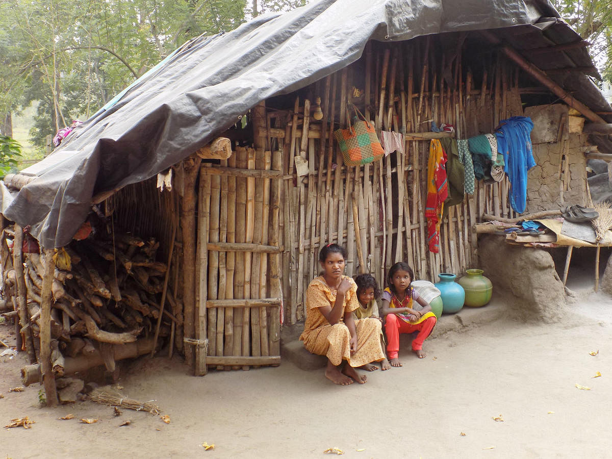 Tribals in Reshmehadlu hamlet in Kodagu district. Credit: DH