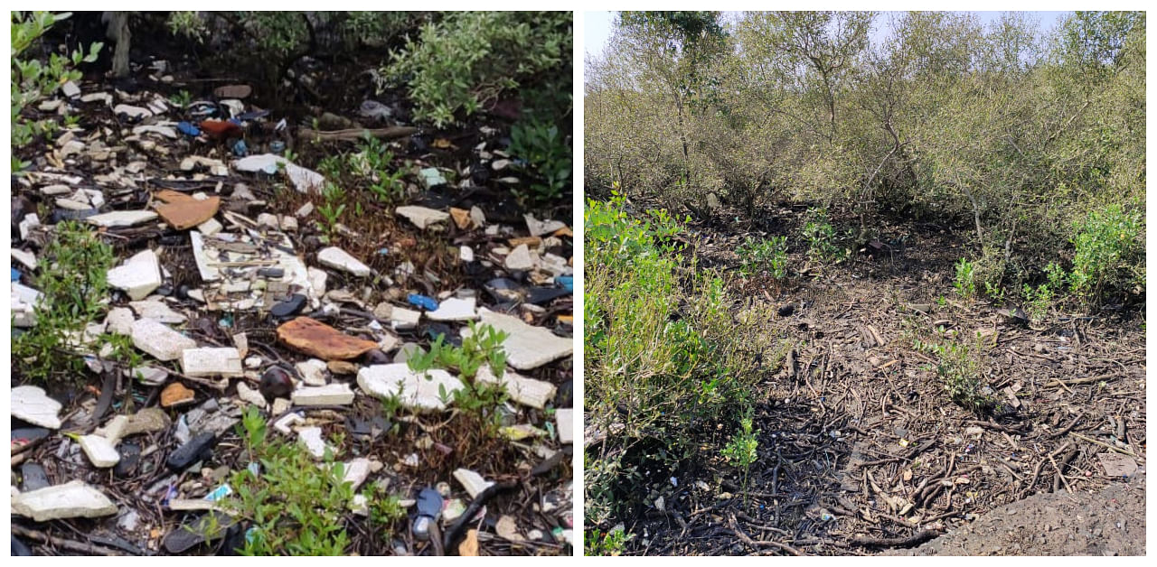 Image of location before and after it was cleaned. Credit: Dharmesh Barai