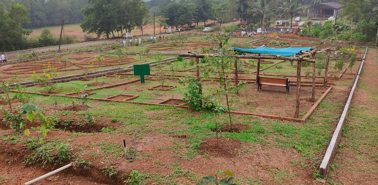 Garden owned by the school in South Karnataka. Credit: DH Photo