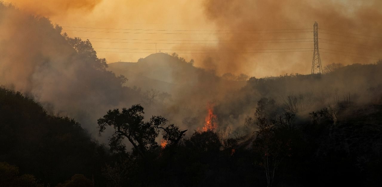 The Bond Fire wildfire continues to burn next to electrical power lines near Modjeska Canyon, California, US. Credit: Reuters Photo/Mike Blake