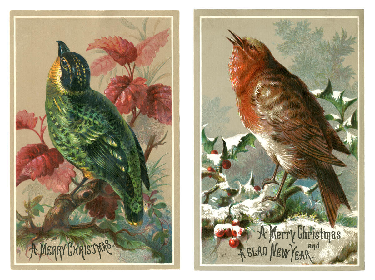 Two Victorian Christmas cards from 1878 showing colourful Robin birds