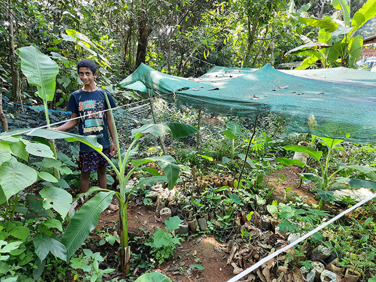 Samshuddhin, a class nine student of Government High School in Aladangadi. Credit: DH Photo