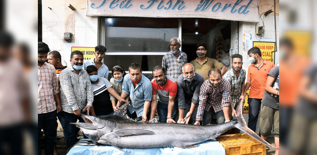 Fish stall owner Ibrahim and others with the giant fish in Mysuru on Wednesday. DH Photo