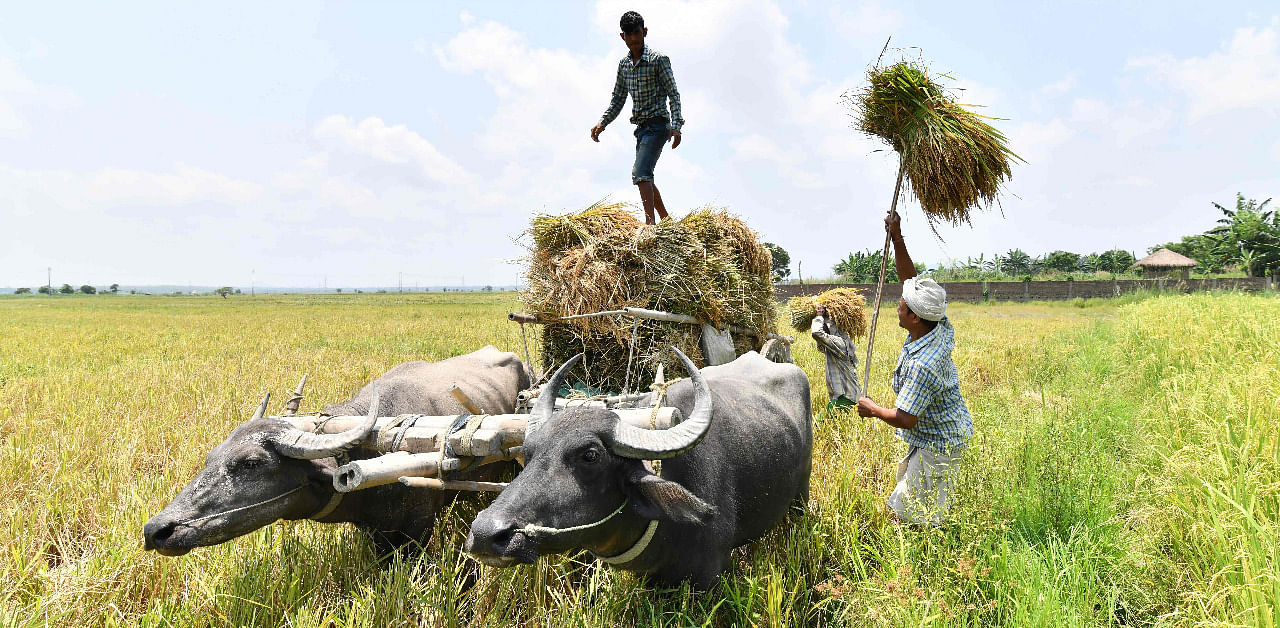 Representative image. Credit: AFP Photo