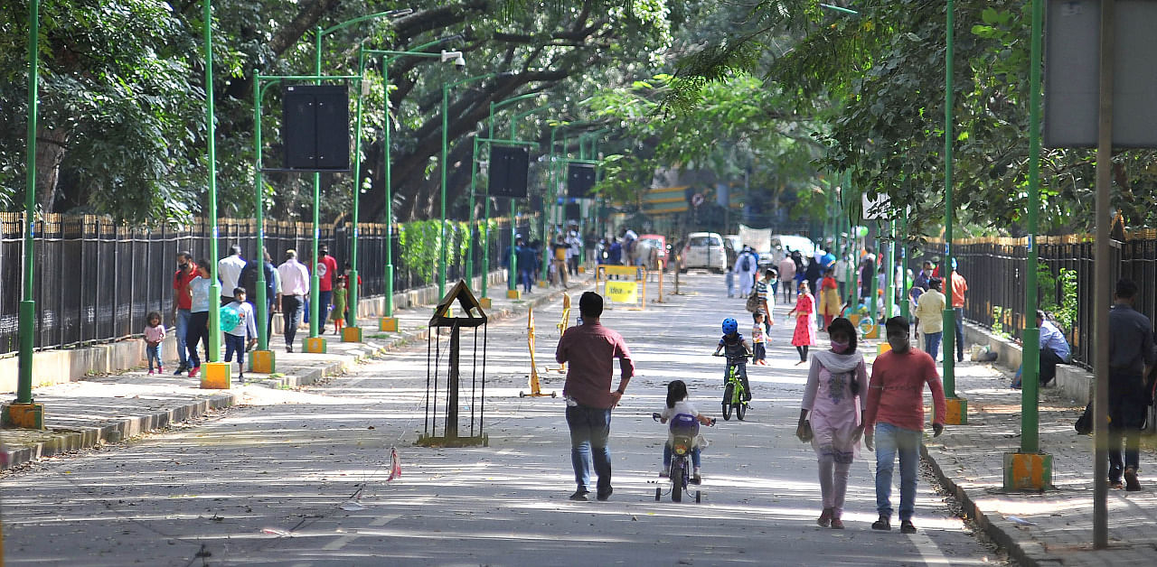 Road in Cubbon Park without traffic. Credit: DH Photo