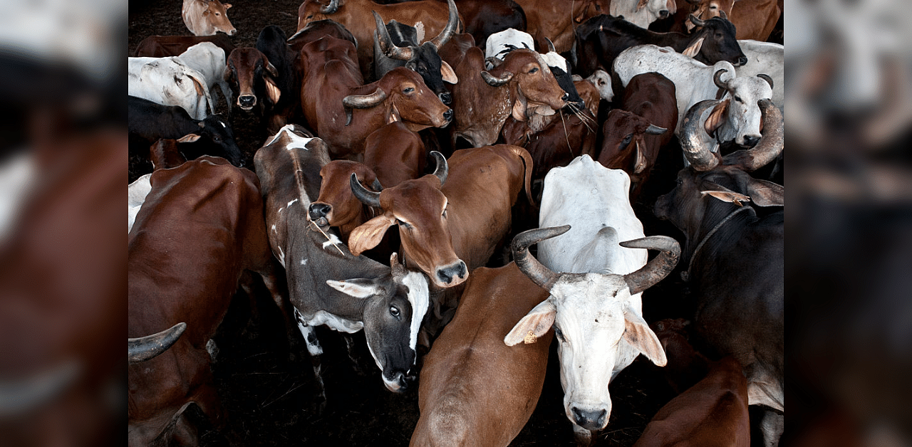 Representative image: Getty Images