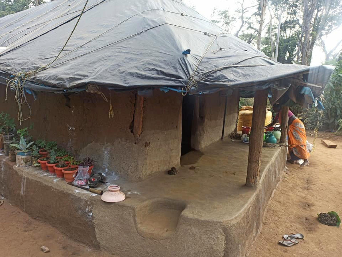 The huts of tribals in Dubare are covered with plastic sheets.