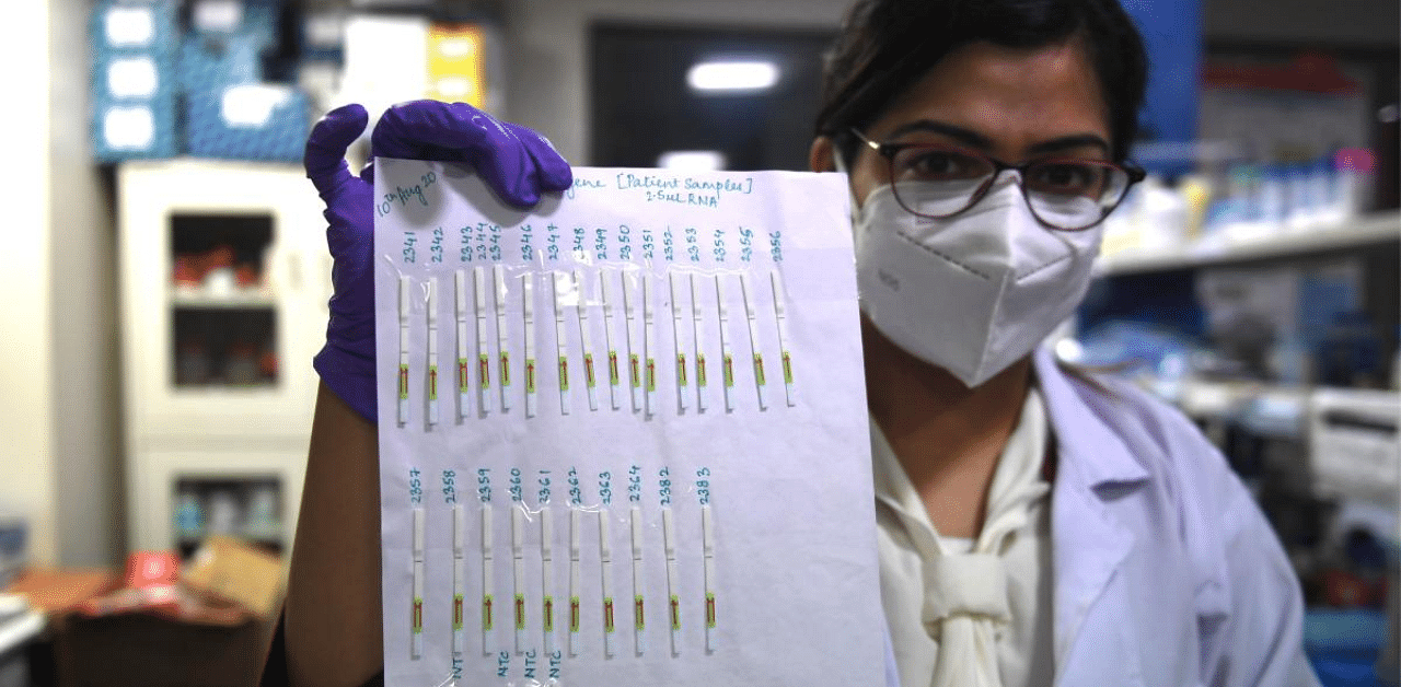 A researcher holds a sheet with paper strips samples Covid-19 coronavirus tests developed by the CSIR-Institute of Genomics and Integrative Biology (IGIB) which could give results at a similar speed of pregnancy tests, at a laboratory of the IGIB in New Delhi. Credit: AFP File Photo