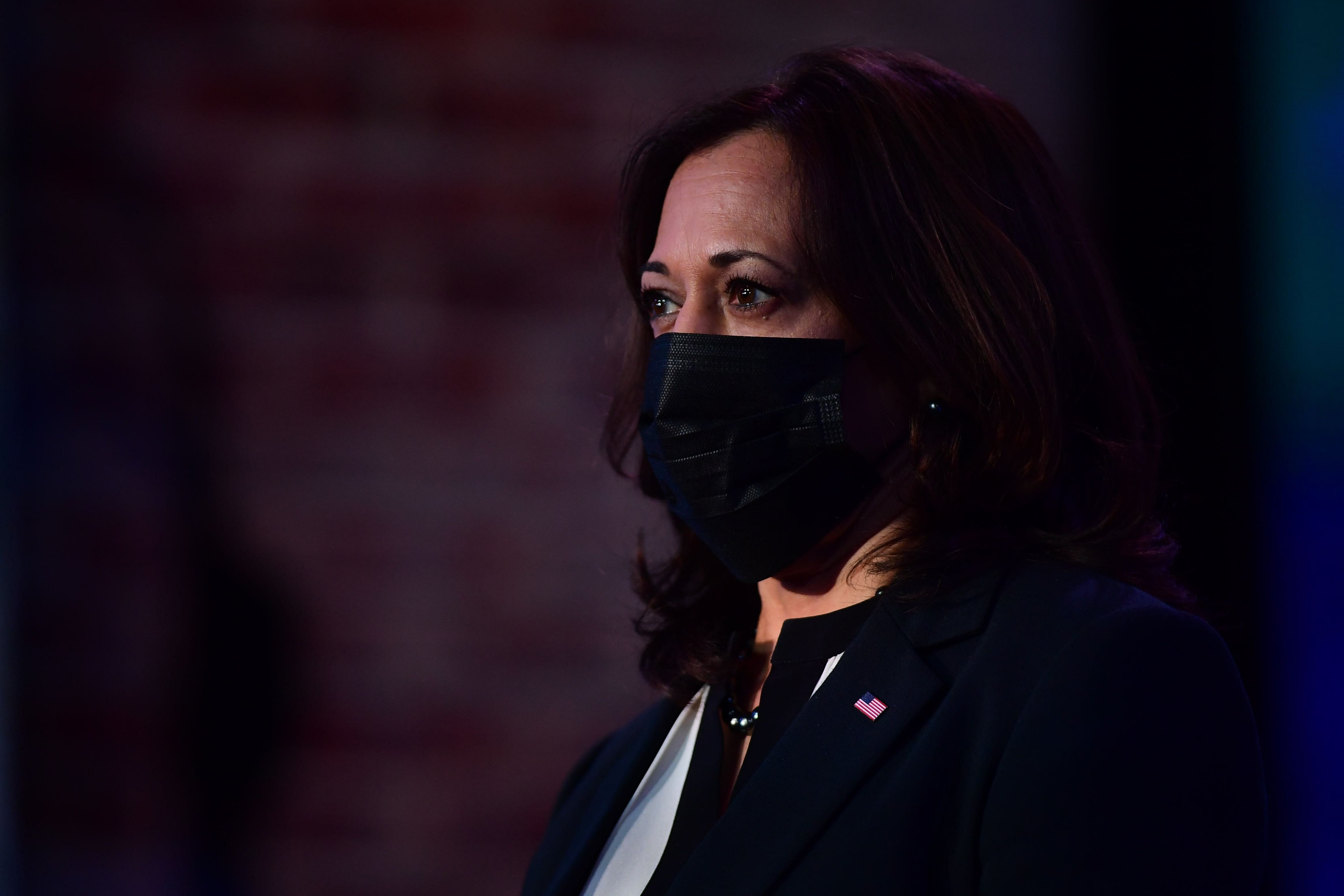 US Vice President-elect Kamala Harris. Credit: AFP Photo