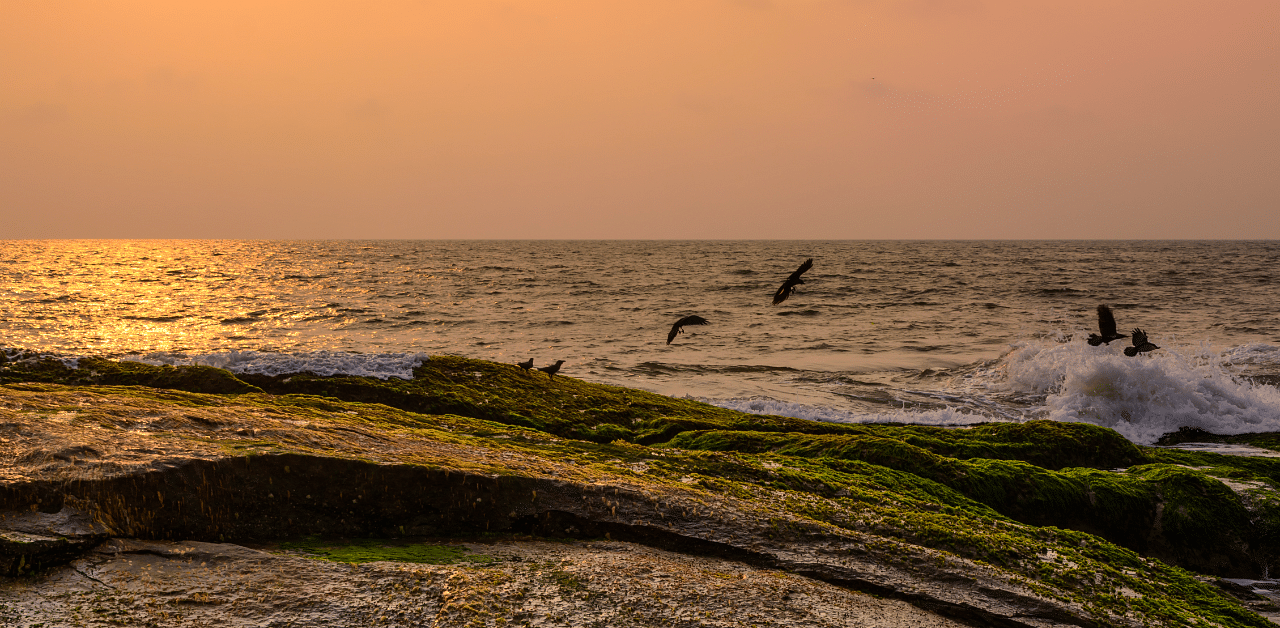 Someshwara beach, located near Mangalore. Credit: Getty Images