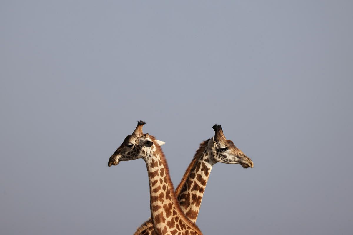 Representative image/Credit: Reuters Photo