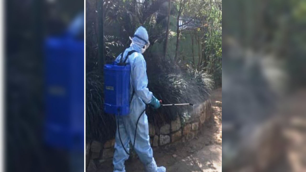   A BBP staffer sprays disinfectant around the bird enclosure inside BBP zoo on the outskirts of Bengaluru in the wake of Bird flu outbreak. Credit: DH.