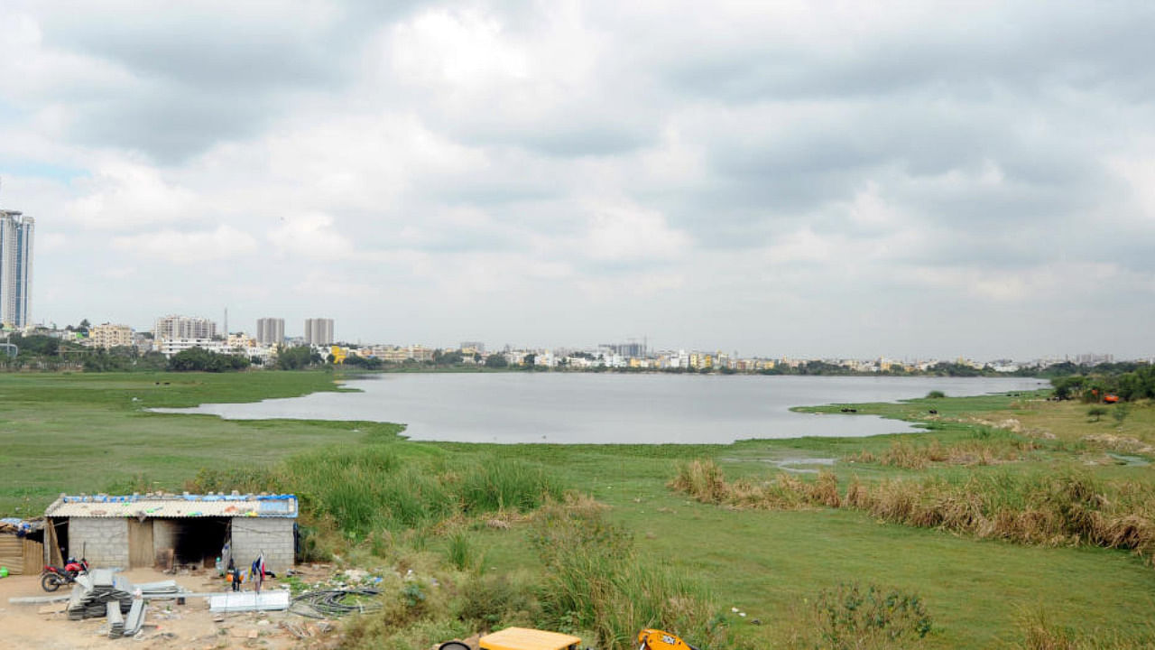 A view of Hulimavu lake in Bengaluru on Thursday. Credit: DH Photo/Pushkar V.