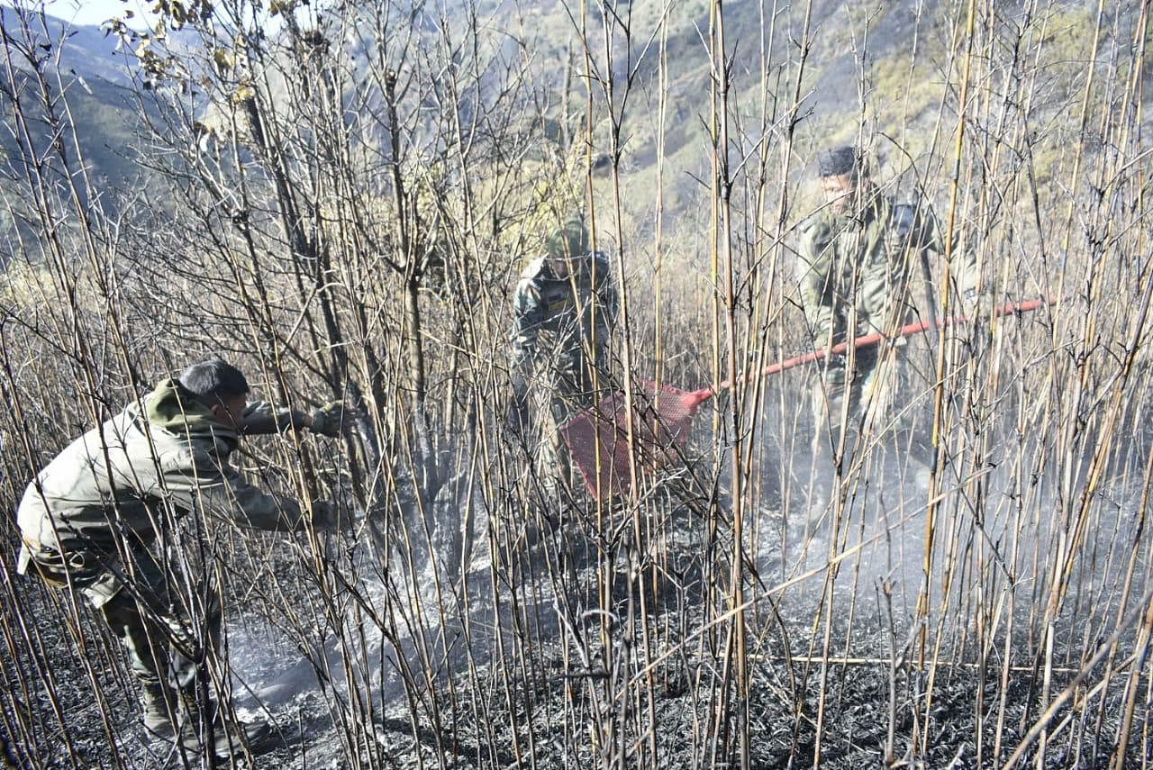  Army personnel in operation to extinguish the forest fire in Dzukou Valley on Nagaland-Manipur border. Credit: Indian Army