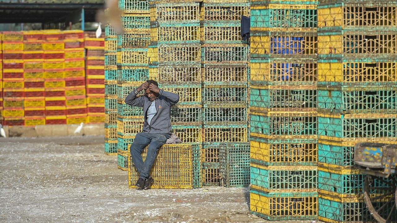 Ghazipur poultry market wears a deserted look after the authorities closed it for ten days due to the bird flu outbreak, in New Delhi. Credit: PTI Photo