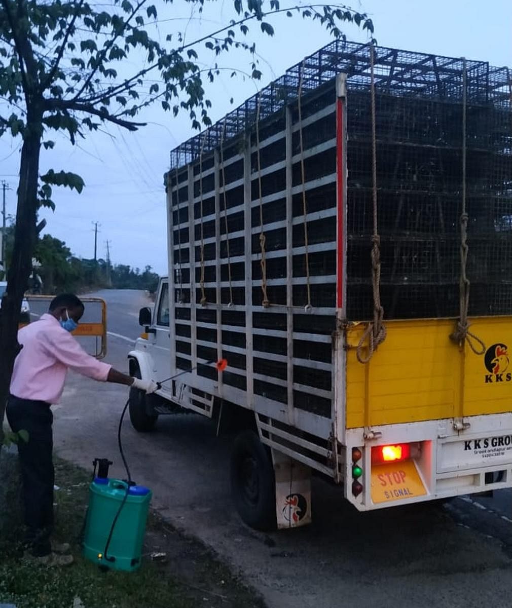 A lorry transporting poultry chicken being sanitised at Perumbadi checkpost.