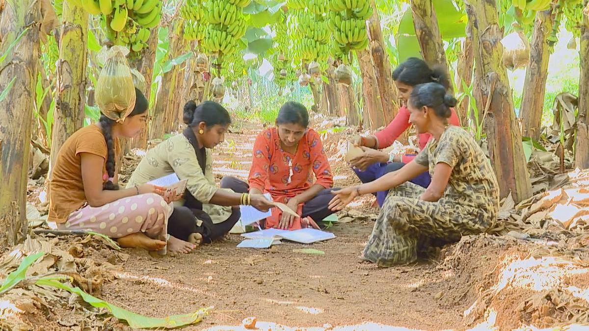 Members of Kasturba Sanjeevini self-help group hold a meeting amid the banana plantation at Dompadapalke in Belalu of Belthangady taluk.