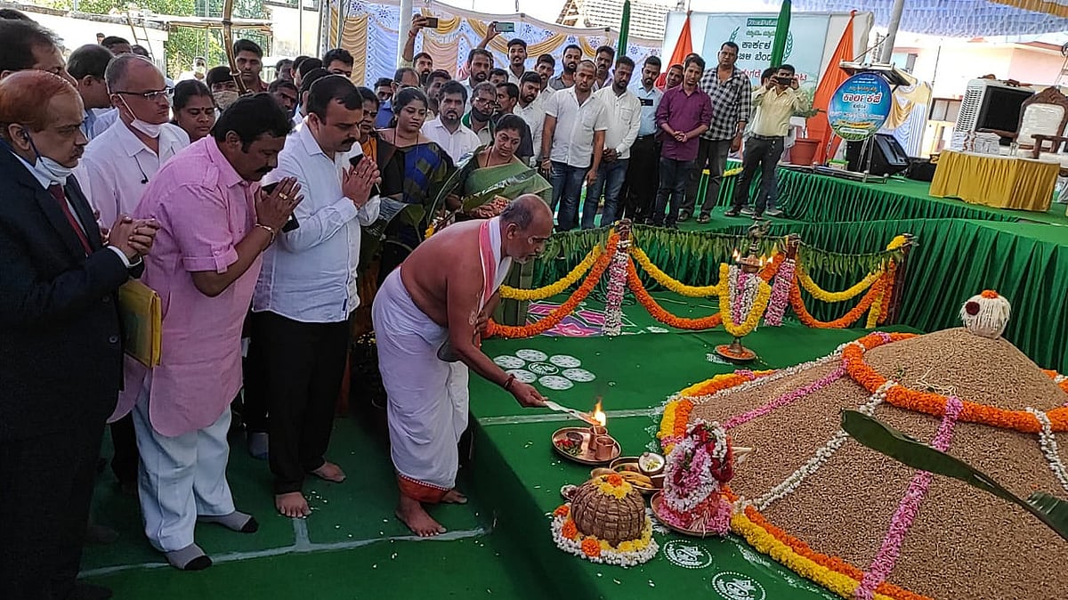 Conduct study on uniqueness of Kaarla Kaje rice variety: Karnataka ...