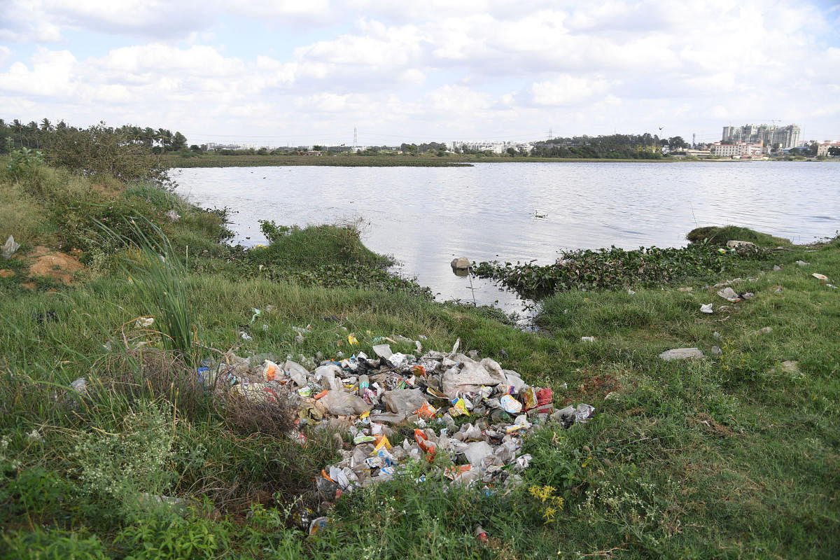 Yele Mallappa Chetty Lake. Credit: DH Photo