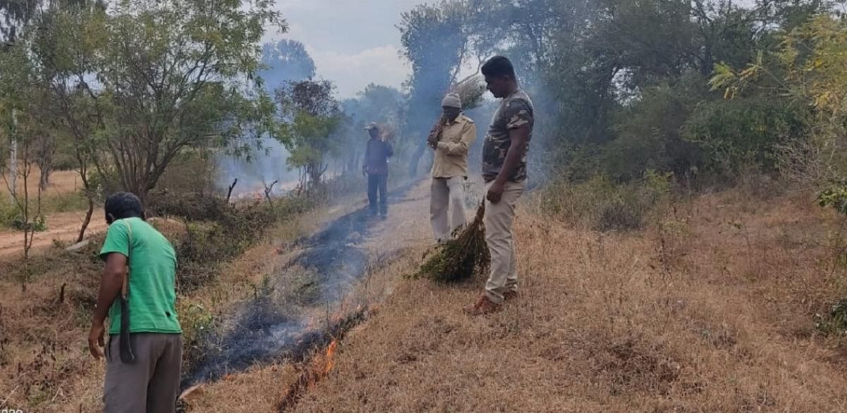 Forest department personnel create fire lines at Bandipur Forest, Gundlupet taluk, Chamarajanagar district, recently. DH PHOTO