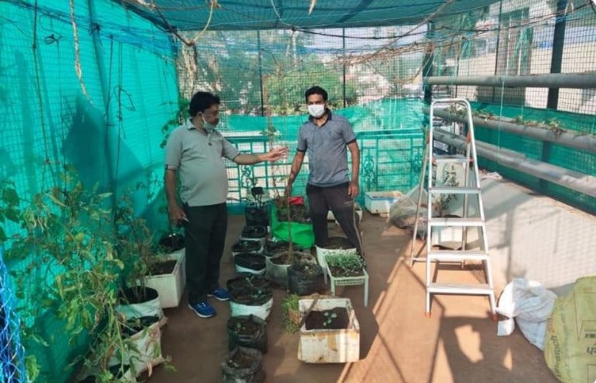 Mysuru City Corporation Zonal Commisioner Kuberappa inspects the terrace garden of Joseph near the Public Library in Subash Nagar in Mysuru recently. The wet waste generated in the house is being used for gardening. Photo by Special Arrangement